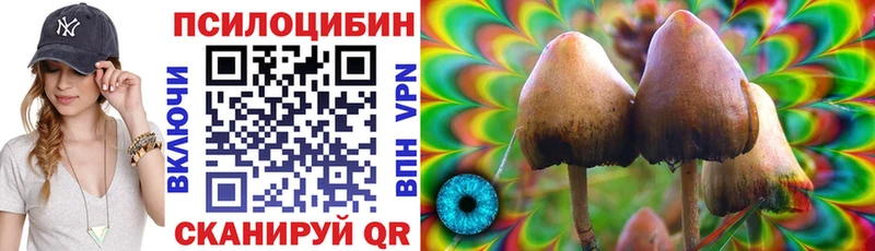 Псилоцибиновые грибы GOLDEN TEACHER  наркошоп  omg ONION  Череповец 